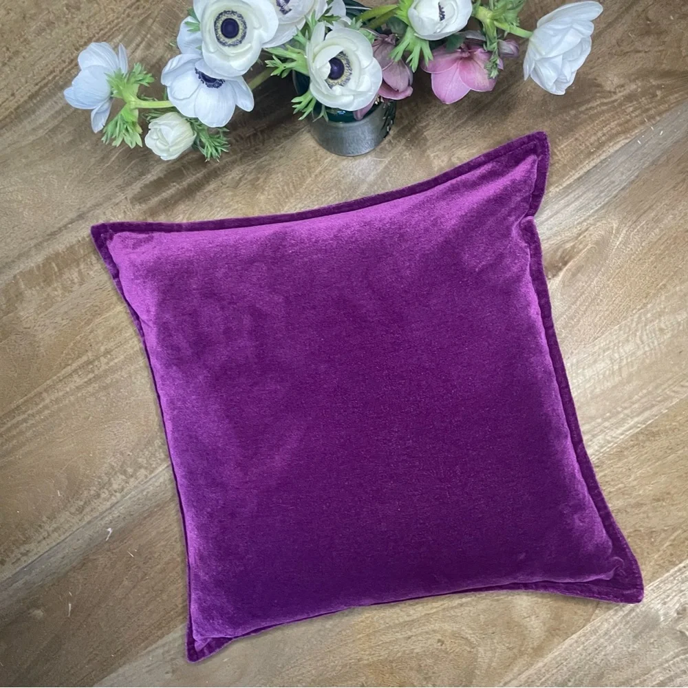 Crate & Barrel Velvet Pillow